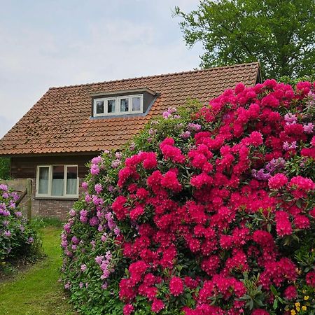 Holiday Home Countryside, Langbroek / Doorn Buitenkant foto