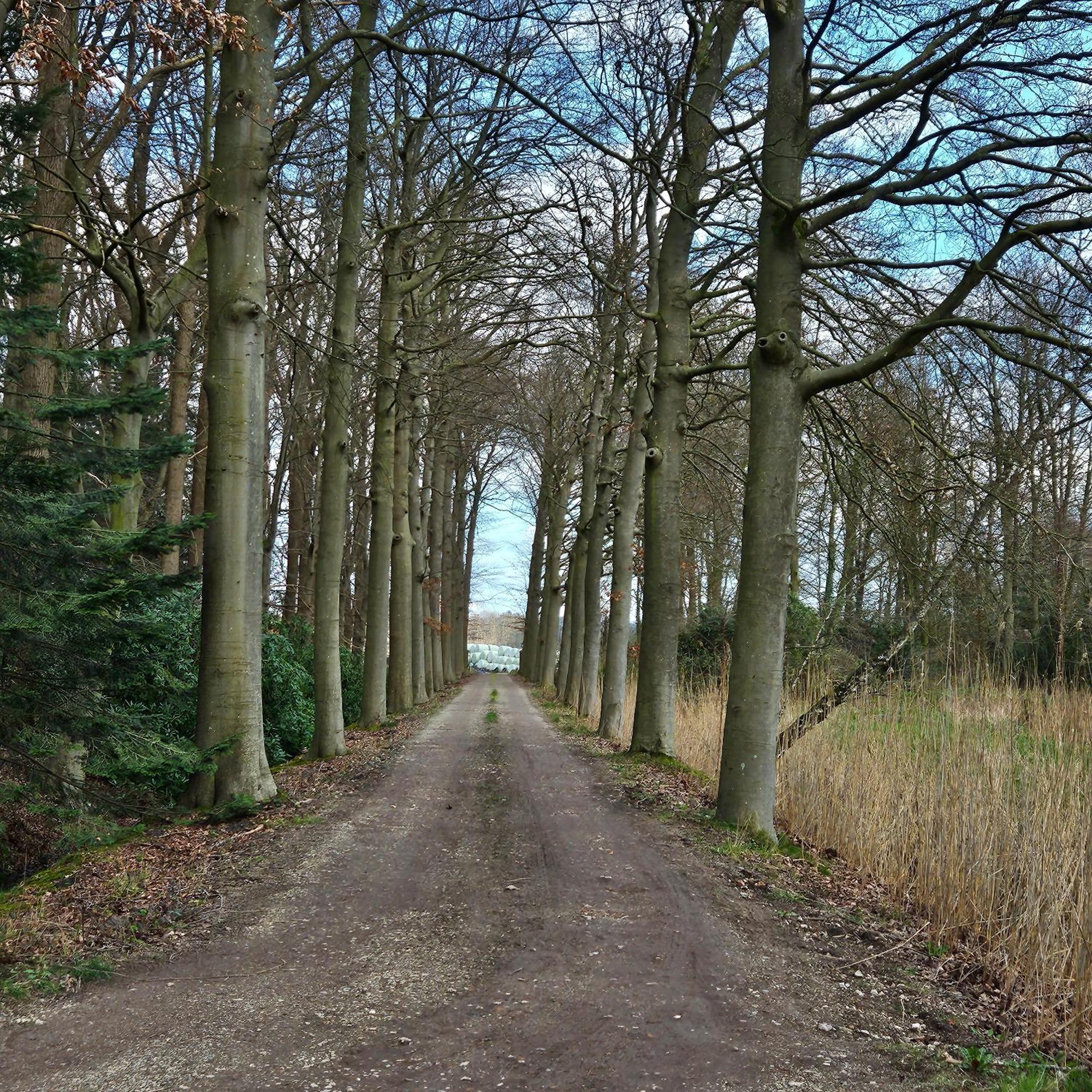 Holiday Home Countryside, Langbroek / Doorn Buitenkant foto