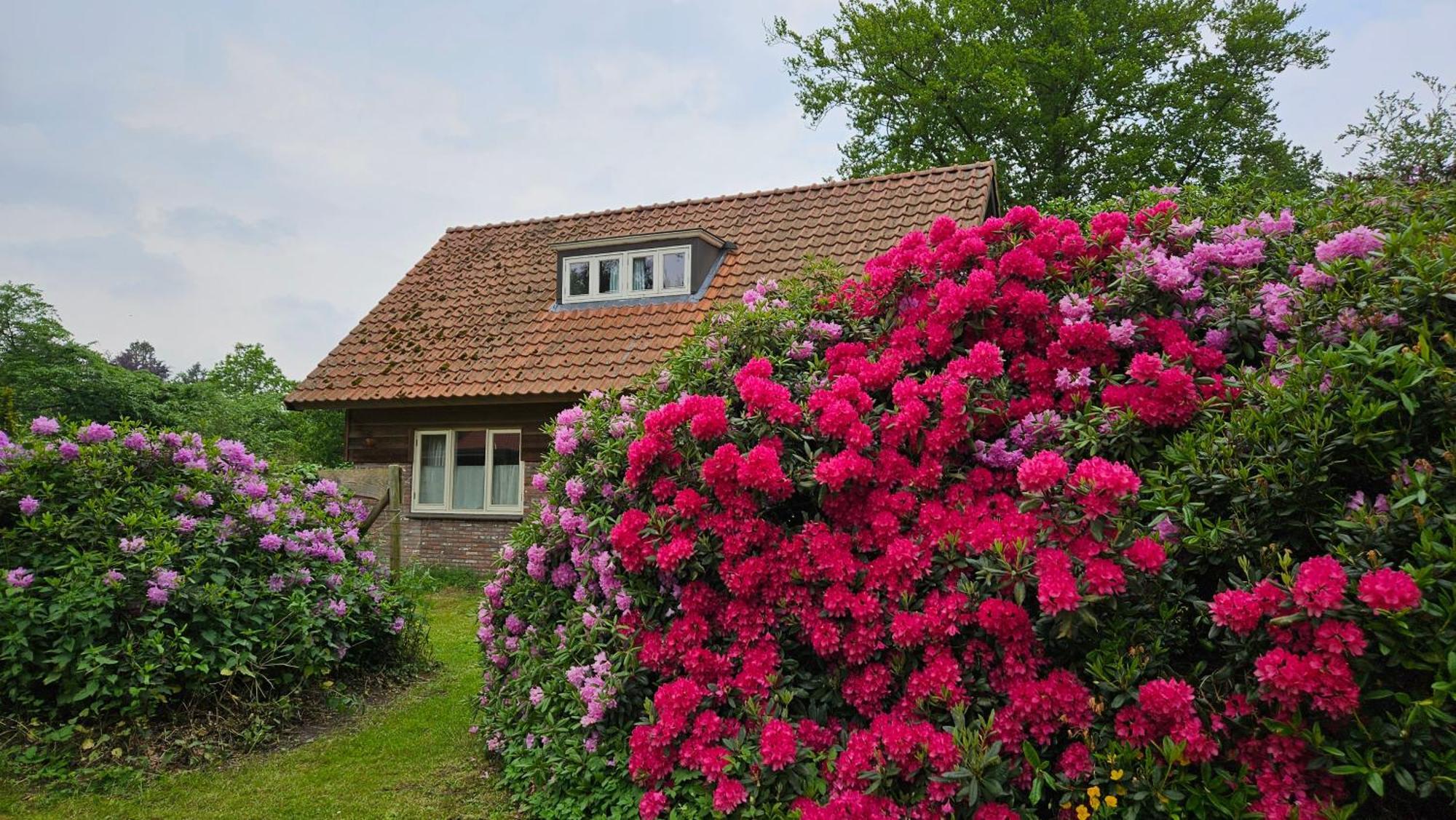 Holiday Home Countryside, Langbroek / Doorn Buitenkant foto